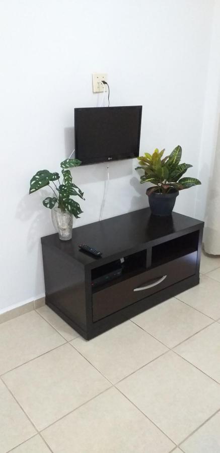 Apartamento No Canto Do Forte, Wi-Fi, Estacionamento Gratuito E Churrasqueira Praia Grande  Exterior foto